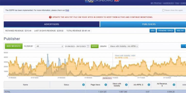 Read more about the article Maximizing Revenue with Adsense and MGID Ad Networks: My Experience